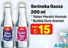 SERİNOBA GAZOZ 200 ML